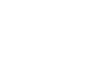 NDZ Digital